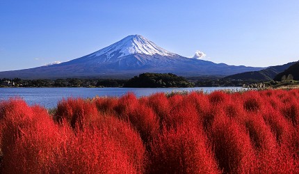成田機場交通整理直通巴士推薦富士山河口湖直達電車成田特快橫濱輕井澤交通方法交通時間推介新宿轉車介紹文章成田機場與其周邊地區河口湖圖