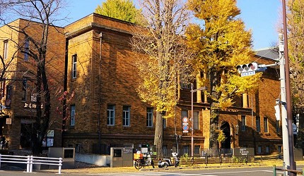 紅磚牆建築前有一棵銀杏樹
