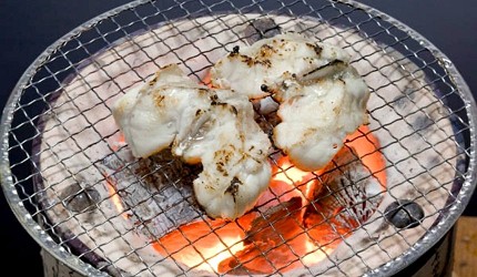 越前蟹餐廳推薦福井美食推薦福井美食餐廳推介福井必吃美食福井必食餐廳三方五湖美食介紹三方五湖山頂公園若狹牛燒肉河豚伏爾加飯介紹文章【小濱市美食河豚】若狹河豚之宿「下亟」圖