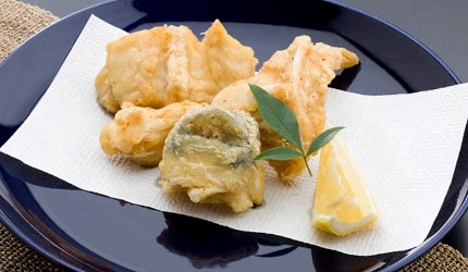 越前蟹餐廳推薦福井美食推薦福井美食餐廳推介福井必吃美食福井必食餐廳三方五湖美食介紹三方五湖山頂公園若狹牛燒肉河豚伏爾加飯介紹文章小濱市美食-河豚若狹河豚之宿「下亟」圖
