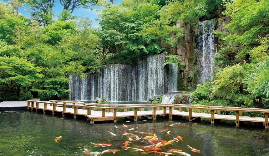 綠意盎然的日式庭園與瀑布,池中悠游著錦鯉