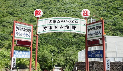 德島美食必吃餐廳推薦鳴門美食必食餐廳推介阿波美食阿南美食鳴門鯛阿波尾雞鳴門金時地瓜食評介紹文章【阿波美食木盆烏龍麵KaneGin 坂野圖