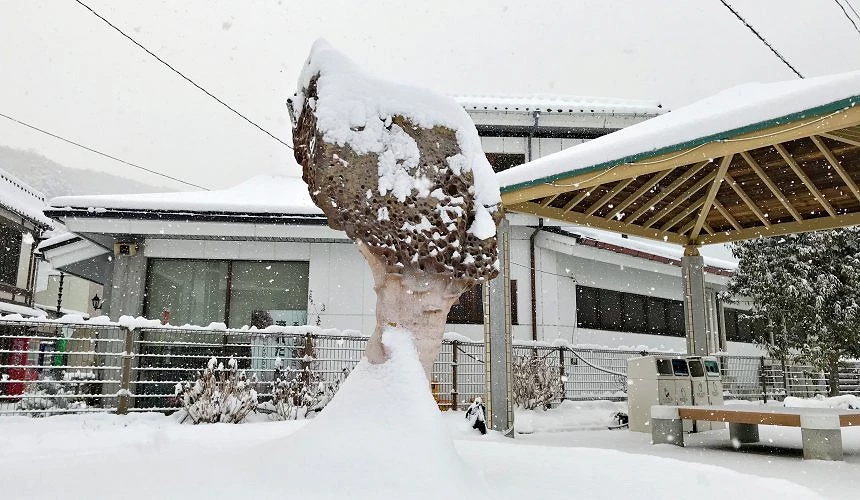 帶著雪帽的女王頭