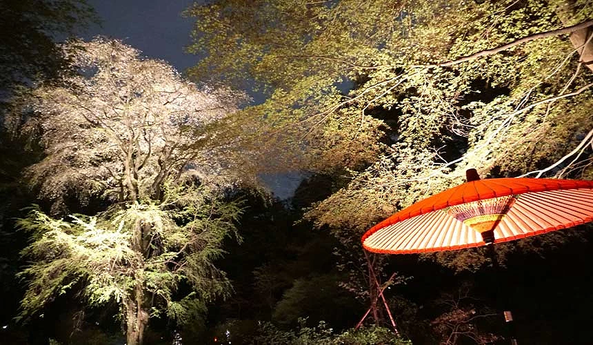 六義園夜間點燈和日式傳統紅傘