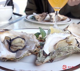 森林小丘庭園提供牡蠣料理