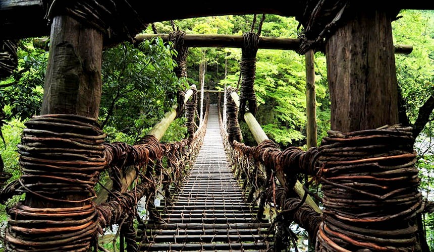 夏季時的祖谷藤蔓橋風景