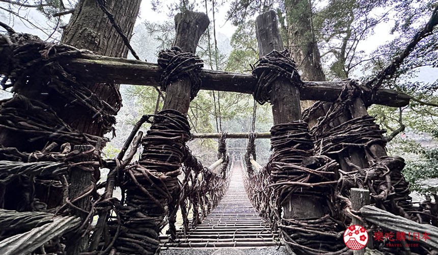 冬季時的祖谷藤蔓橋風景