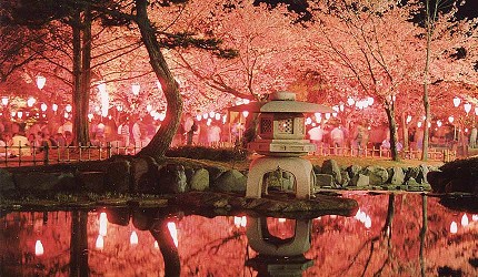 夜櫻點燈時的蘆城公園景色，櫻花在燈籠與石燈籠光影映照下倒映水面
