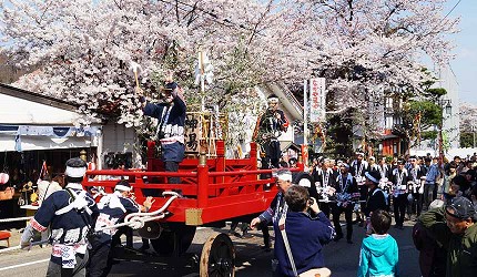 櫻花季期間的彌彥公園祭典景象，滿開櫻花下進行傳統表演與遊行