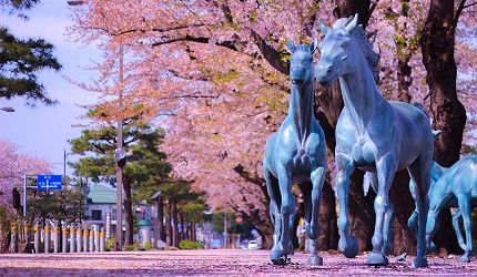 東北賞櫻公園內的櫻花步道,馬匹雕塑佇立於櫻花樹下,地面覆滿櫻花花瓣