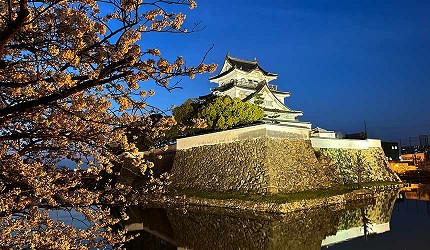 岸和田城庭園八陣之庭與櫻花盛開的春日風光