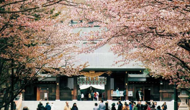 2026札幌櫻花景點12選：北海道神宮、圓山公園、莫埃來沼公園必去