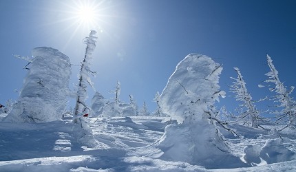 山形藏王樹冰