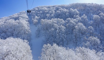 山形藏王樹冰