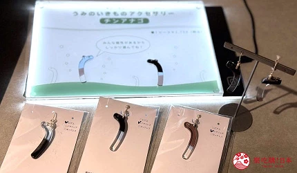 札幌景點推薦9點後北海道景點推介水族館AOAOSAPPORO親子遊景點介紹文章用水族箱廢材製作的花園鰻耳環