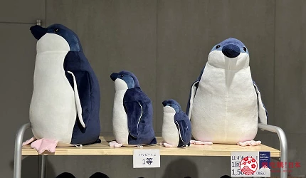 札幌景點推薦9點後北海道景點推介水族館AOAOSAPPORO親子遊景點介紹文章來試試自己手氣看能將什麼尺寸的企鵝帶回家