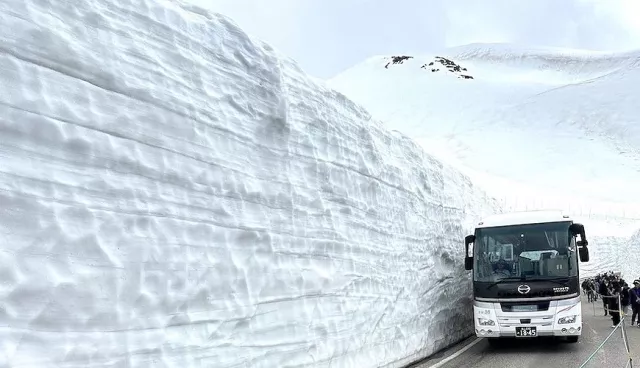 立山黑部自駕遊「立山TRAFFIC SERVICE」「大町TRAFFIC」幫移車賞雪牆