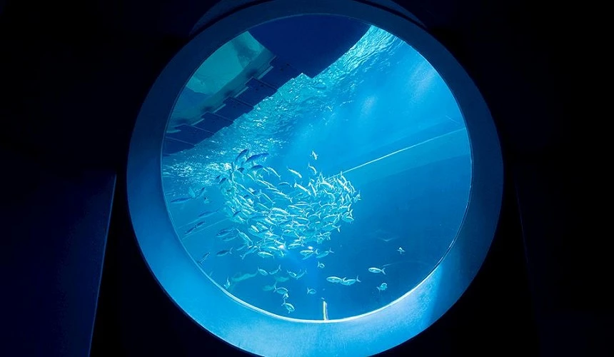 第二站到「DMM Kariyushi水族館」打卡