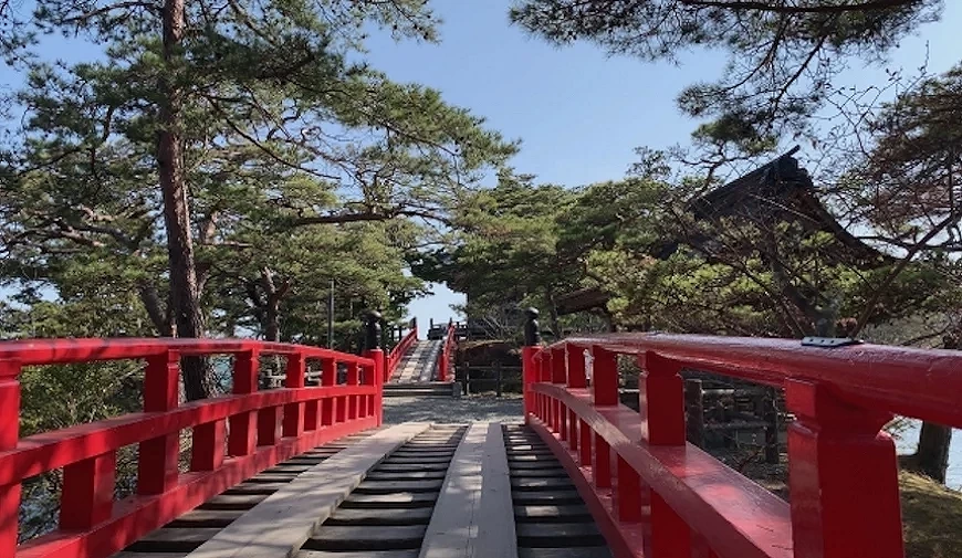松島瑞巖寺的紅色透橋穿過松樹林,橋面木板間留有縫隙,遠方可見朱紅色橋欄與參道