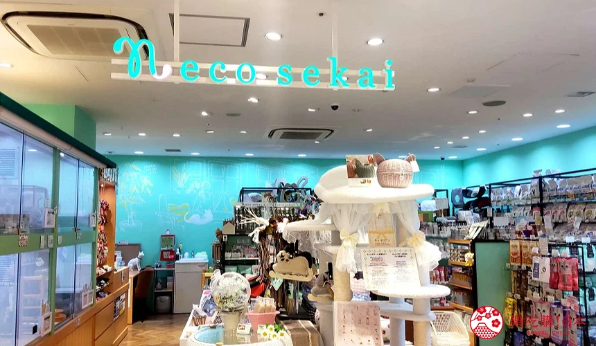 東京近郊二子玉川的neko sekai店內一景