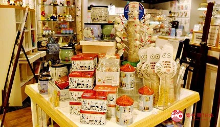 東京近郊二子玉川的Dogwood Plaza的MOOMIN SHOP