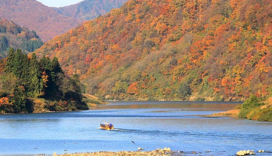 山形最上川最上峽的屋形船,行駛於兩岸楓紅夾道的溪谷之間