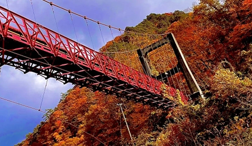 秋田返抱溪谷,紅色吊橋橫跨在滿山楓紅間,景色壯觀