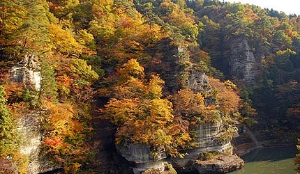 「福島塔崖,紅葉覆蓋在層層奇岩斷崖間,秋景如同自然雕刻的畫卷石
