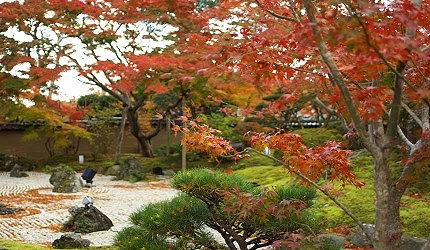 圓通院(円通院枯山水庭園,紅葉點綴白砂與青苔,景色雅致