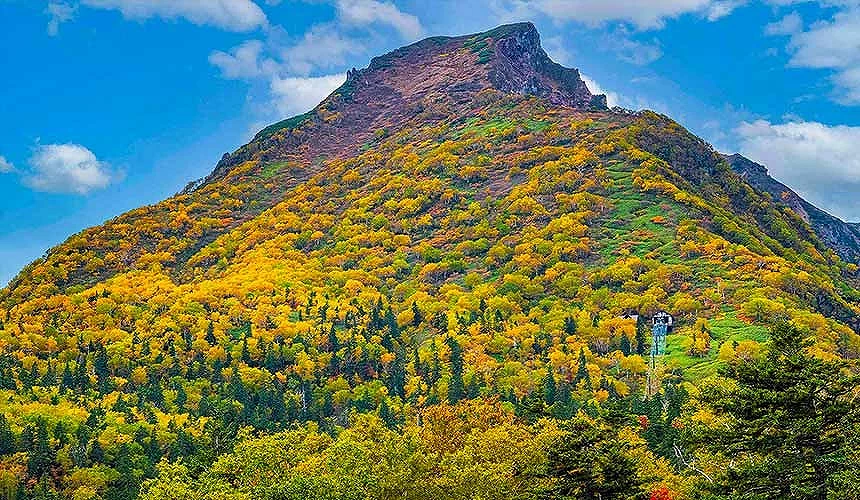 北海道大雪山國立公園層雲峽黑岳秋季景色,滿山紅葉染遍山坡,氣勢磅礴壯麗