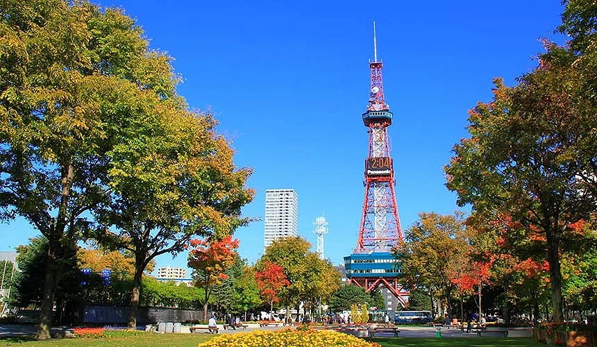 北海道札幌大通公園秋季景色,紅葉綠意襯托電視塔,市中心即可享受秋日風光