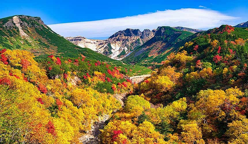 北海道十勝岳秋季紅葉,群山環繞下的山谷染上金黃與鮮紅,景色壯麗