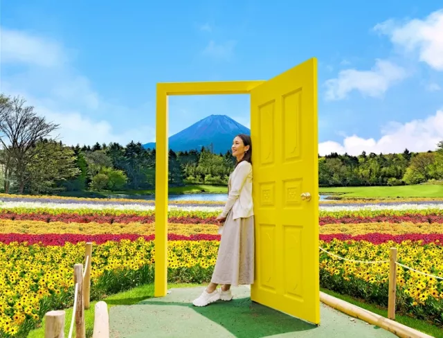 富士本栖湖度假村「2025 彩虹花祭」將登場，富士山腳下絕美花海必訪！