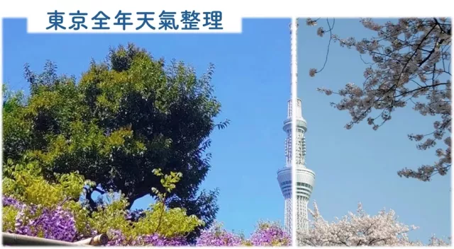 東京天氣預報及總覽！按月穿搭建議：11月穿厚夾克、3月要帶外套 的縮圖