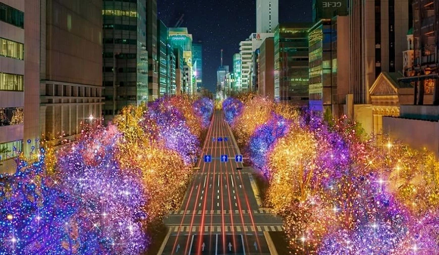 大阪御堂筋街道冬季點燈活動『光之饗宴』,街道兩側閃耀著紫色與金色燈飾,展現絢麗聖誕氛圍