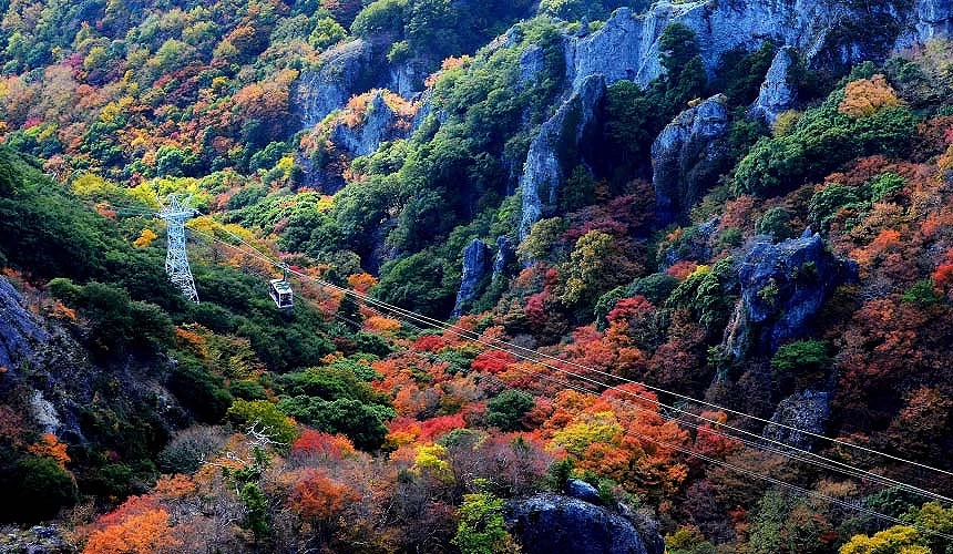 山谷中纜車穿越滿山秋色林木