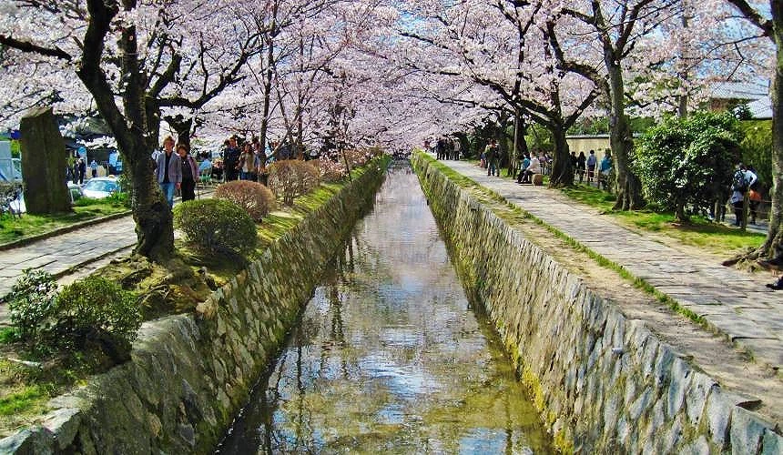 春天浪漫的哲學之道