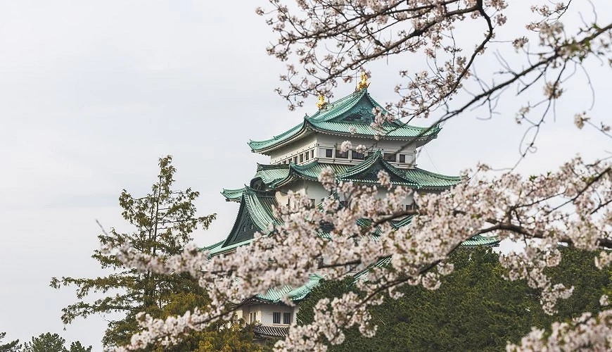 名古屋城實拍照片