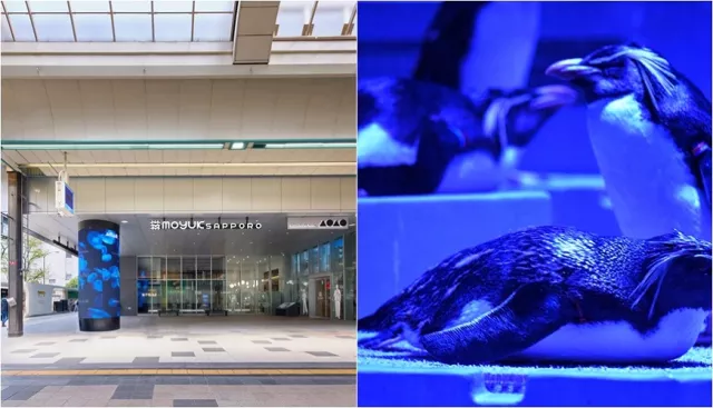 夜遊札幌景點推薦「AOAO SAPPORO」水族館：狸小路地下街直達，交通超方便 的縮圖