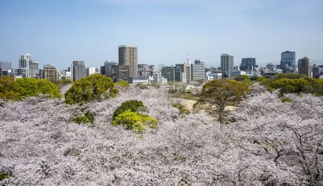 福岡天氣總覽！按月份推薦福岡穿搭建議：11月早晚溫差大，外套要隨身帶