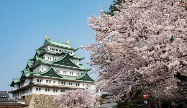 【名古屋天氣攻略】四季穿搭指南：夏季潮濕悶熱，春秋雨具隨身帶