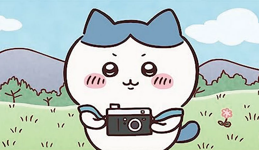 小八貓的獨照