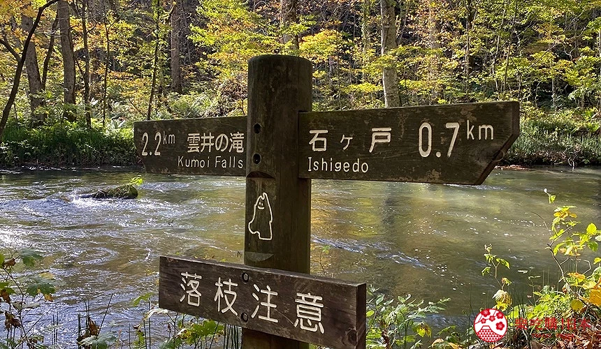奧入瀬溪流