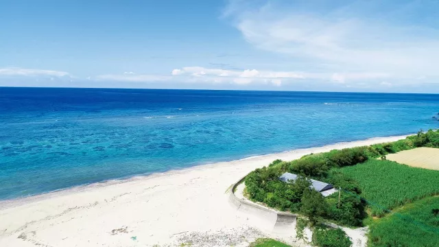 鹿兒島自由行推薦「奄美大島」！搭天馬航空 Skymark 轉機超方便