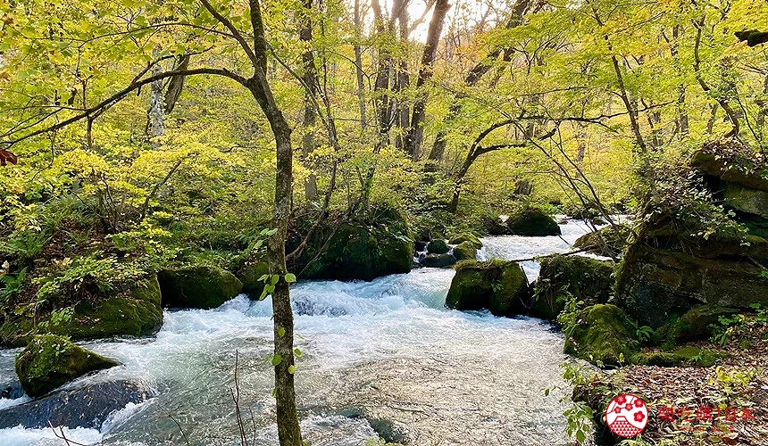 阿修羅之流