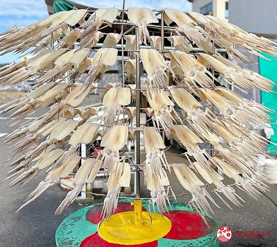 高速旋轉曬花枝