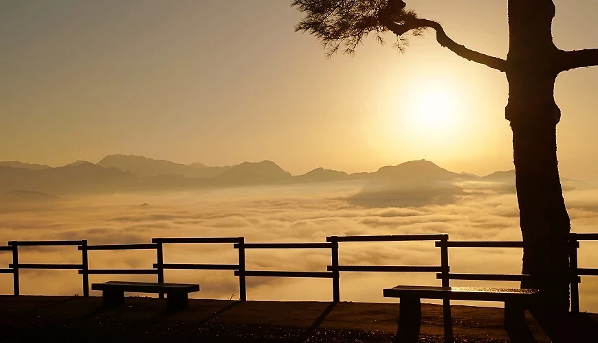 「國見之丘」的夢幻雲海