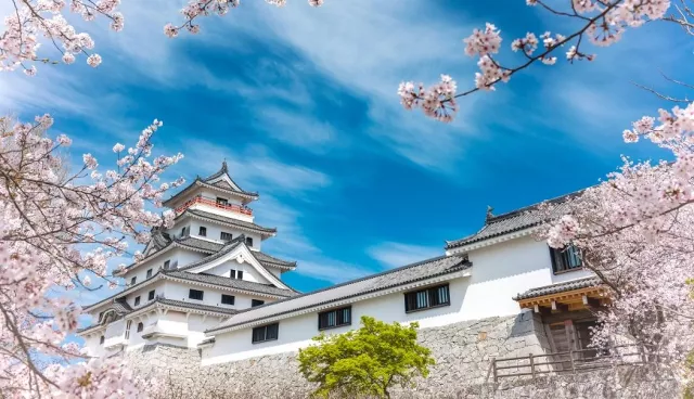 佐賀「唐津市」一日遊景點、美食推薦：必逛市場呼子朝市、虹之松原、賞櫻名所唐津城
