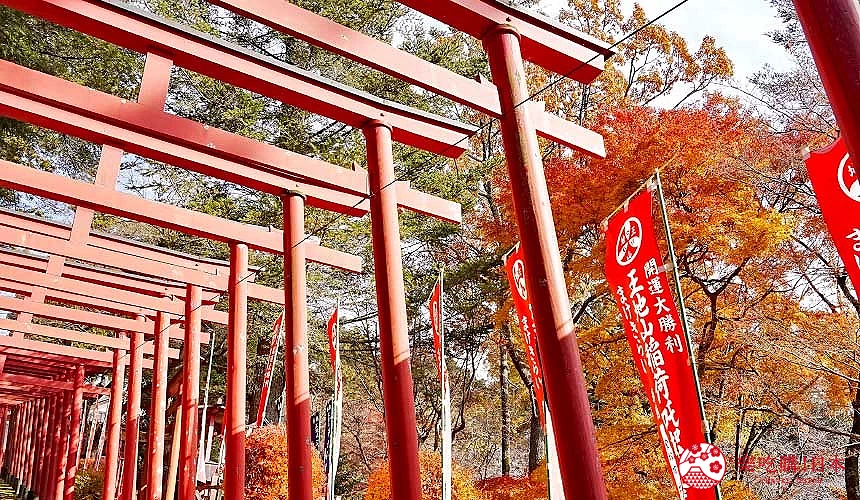 賞楓季時朱紅的鳥居與自周紅葉相互成映,超級美!