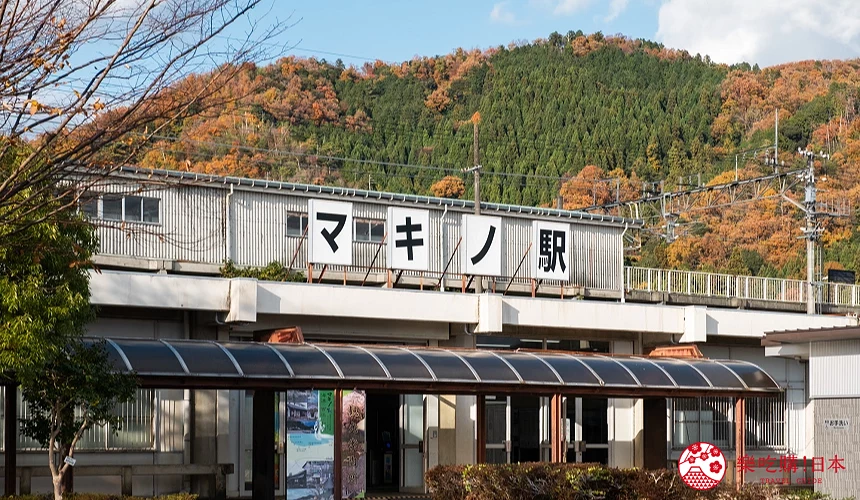 滋賀水杉林蔭大道交通方式